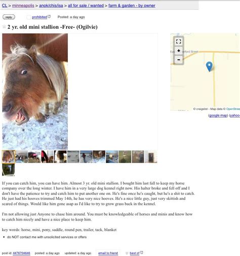 Will take unwanted farm animals · Central and northern wis · 11/13. . Craigslist kenosha pets